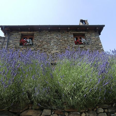 Agriturismo La Fontana Dell'Olmo Ξενοδοχείο Molini di Triora Εξωτερικό φωτογραφία