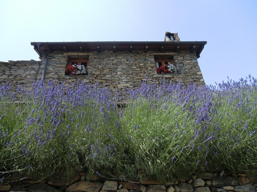 Agriturismo La Fontana Dell'Olmo Ξενοδοχείο Molini di Triora Εξωτερικό φωτογραφία