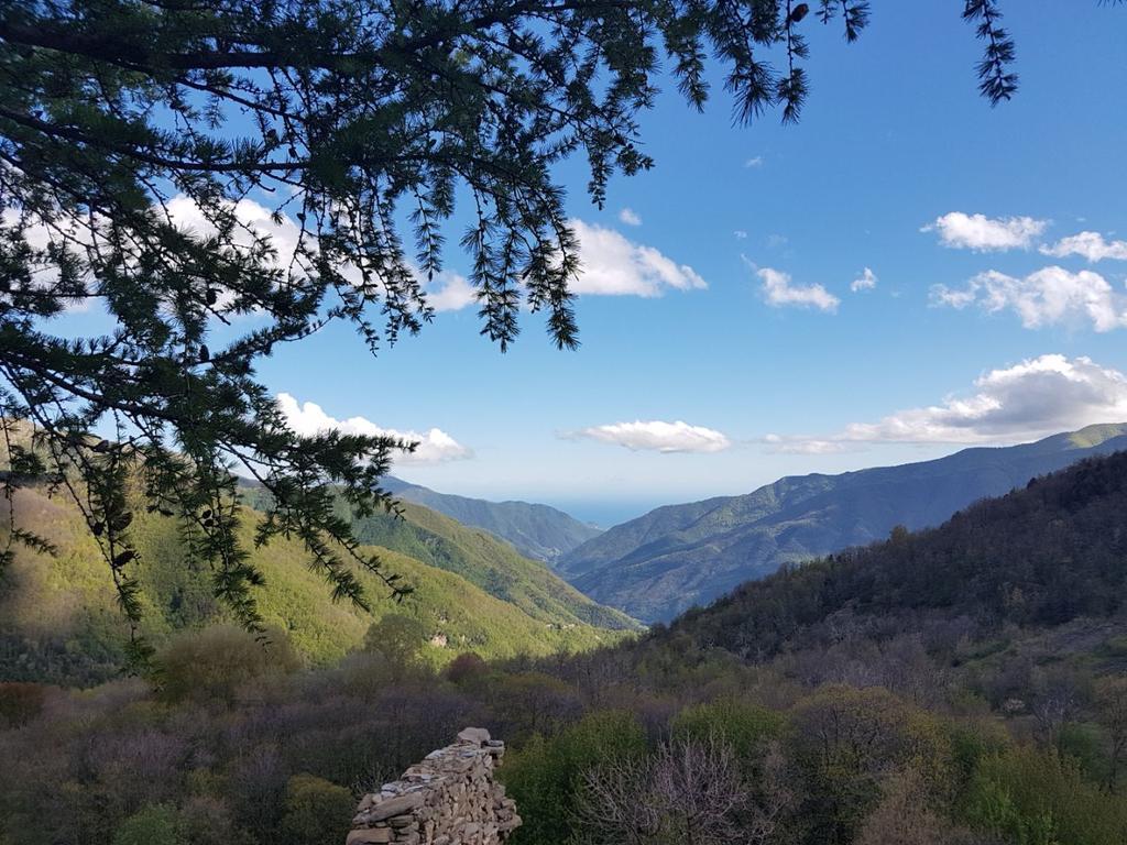 Agriturismo La Fontana Dell'Olmo Ξενοδοχείο Molini di Triora Εξωτερικό φωτογραφία